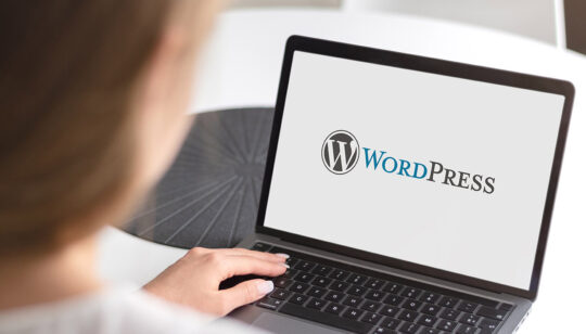Essential WordPress Optimization Guide for Business Growth